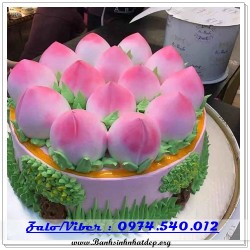 Mẫu Bánh Sinh Nhật Đẹp - A1448